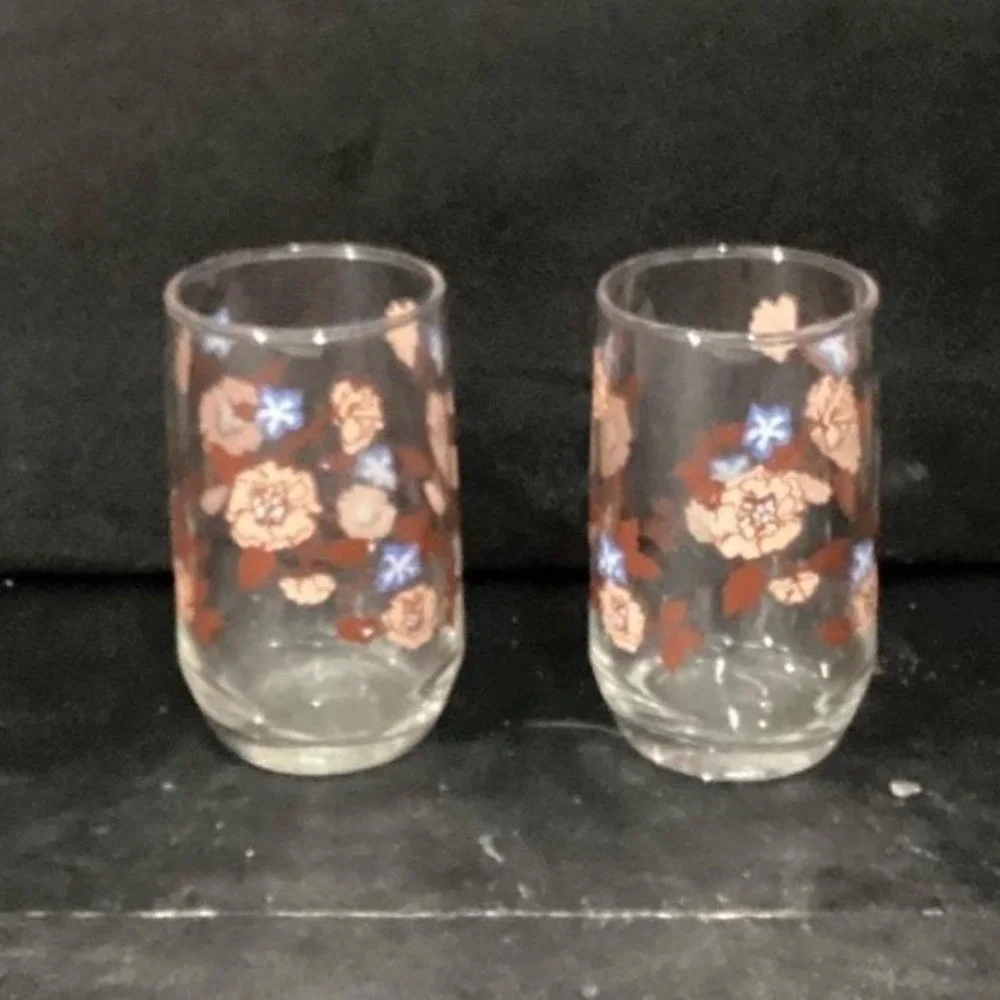 Libbey Floral Juice Glasses, Set of 2,‎ Vintage Orange Flowers Design Drinkware